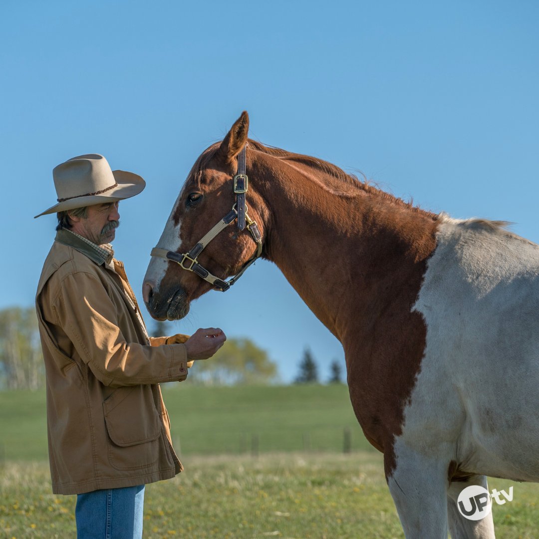 UPtv's tweet photo. 🌄 Start your mornings with the #Heartland family! Catch all the joy, love, and adventure every weekday starting at 6 AM ET on UPtv. 🐴💛

#HeartlandFans | #FeelGoodPhoto | #FamilyShow https://t.co/Ofi5gd4Cj5