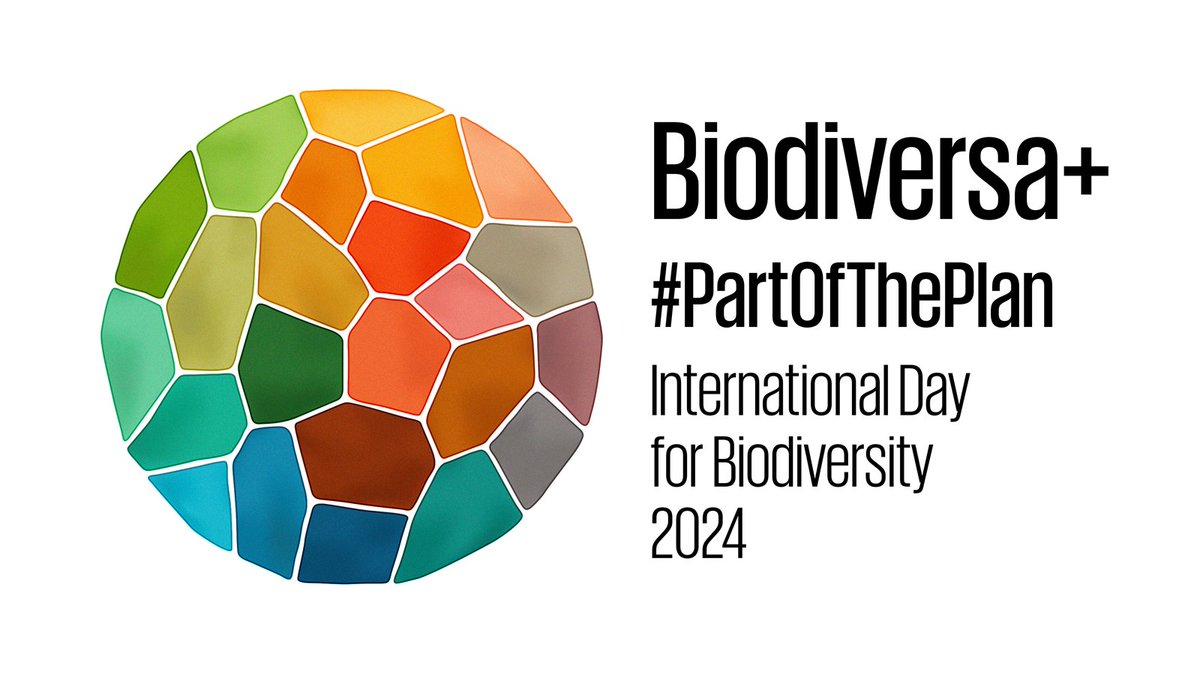 🌱It's #BiodiversityDay, let’s celebrate the diversity of life on our planet! This year’s theme, “Be part of the Plan,” calls for action to reverse biodiversity loss by supporting the implementation of the Kunming-Montreal Global Biodiversity Framework (the #BiodiversityPlan).