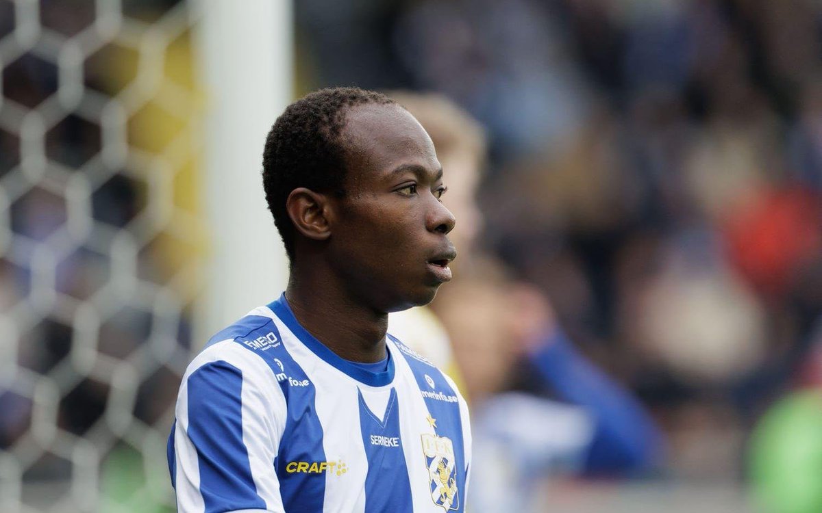 🇸🇪 tweet media