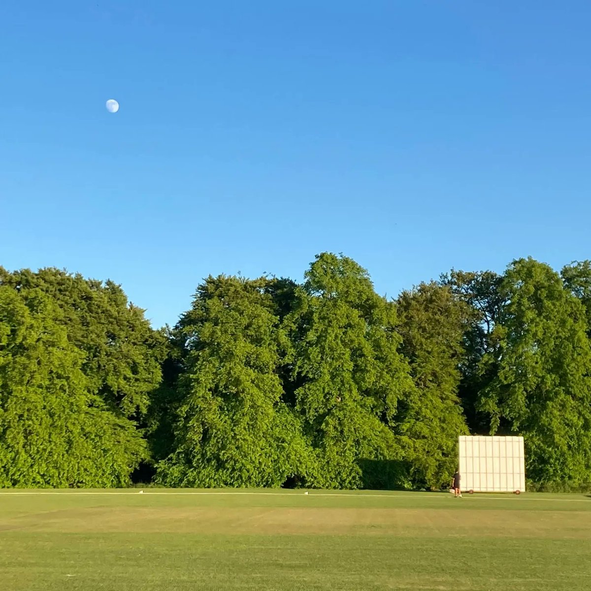 🌞🏏More MONDAY NIGHT U14's action🏏🌞