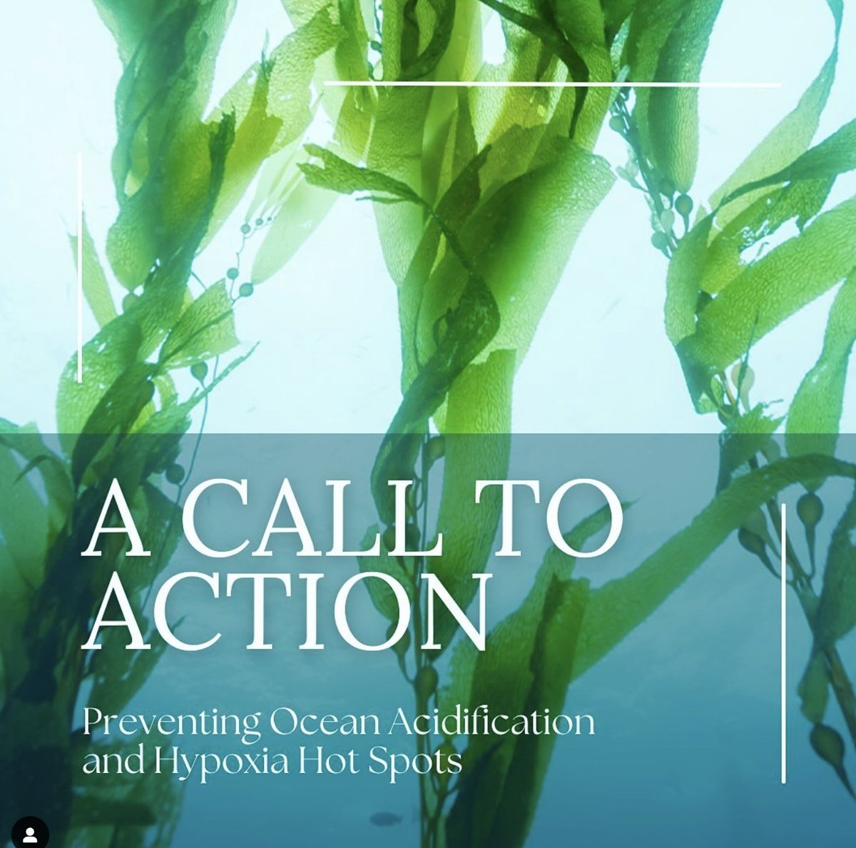 Action #3: 💧@CA_Waterkeepers are working to reduce local land-based pollution that exacerbate and worsen #OceanAcidification.

#OAActionPlan #OAAllianceMember #OAInMay

tinyurl.com/2w72f6jy