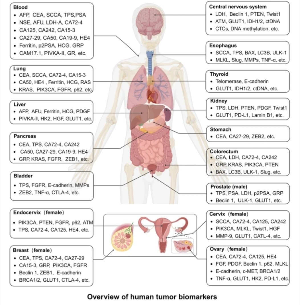 Tumor biomarkers for diagnosis, prognosis and targeted therapy

✒️This is the most comprehensive review I have seen so far (I can't say I've read it yet).

Number of pages: 86
Number of references: 1387

🗯In fact, it's more like a book than a review. Congrats to the authours.