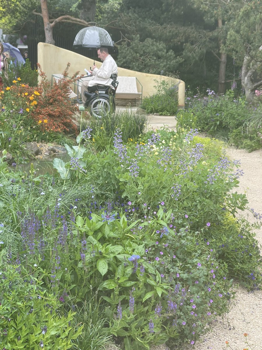 I went to the #ChelseaFlowerShow today and many of the gardens were designed with accessibility or sensory needs in mind. This picture shows Gardeners World presenter @MarkLaneTV doing his stuff despite the rain. ##AXSChat