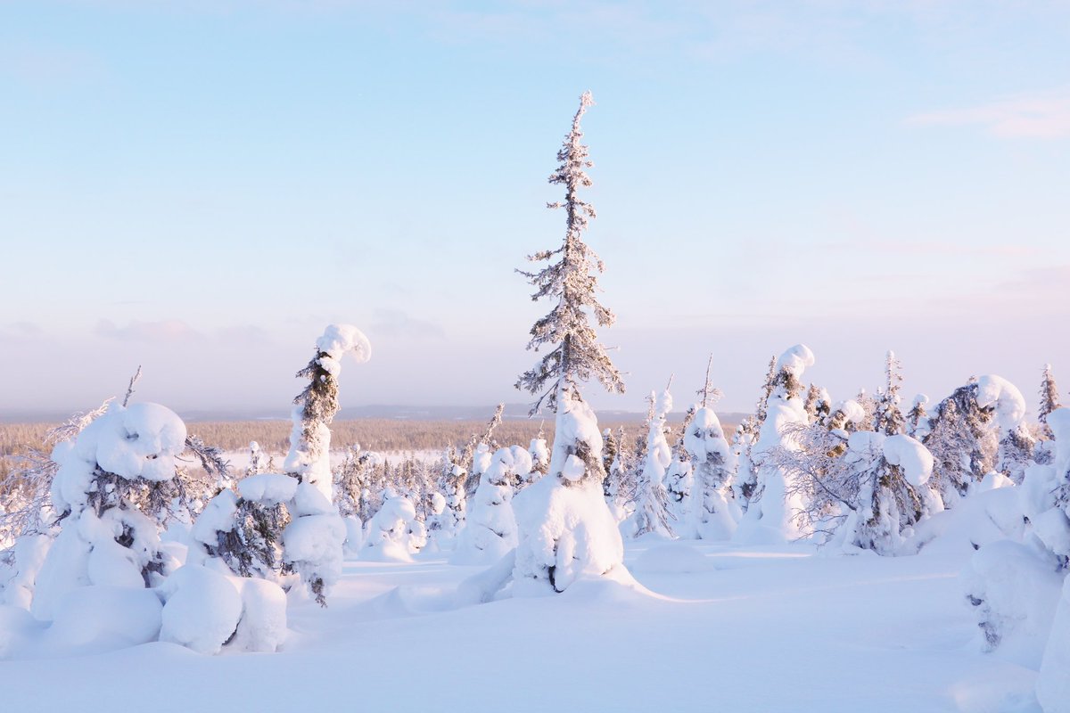 kaeleene_'s tweet photo. Lapland, Finland 🇫🇮 https://t.co/VDL0Zu80aR