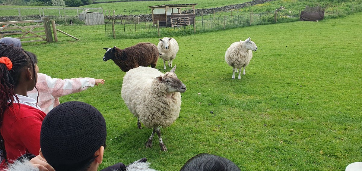 Just wanted to say a huge thank you to Farmers  Emma,  Lucy and Jen from Country Trust for being such fantastic hosts at Harewell Hall Farm.  Year 3 really enjoyed feeding the animals,  learning about farming, and completing the nature trail. #WeAreStar