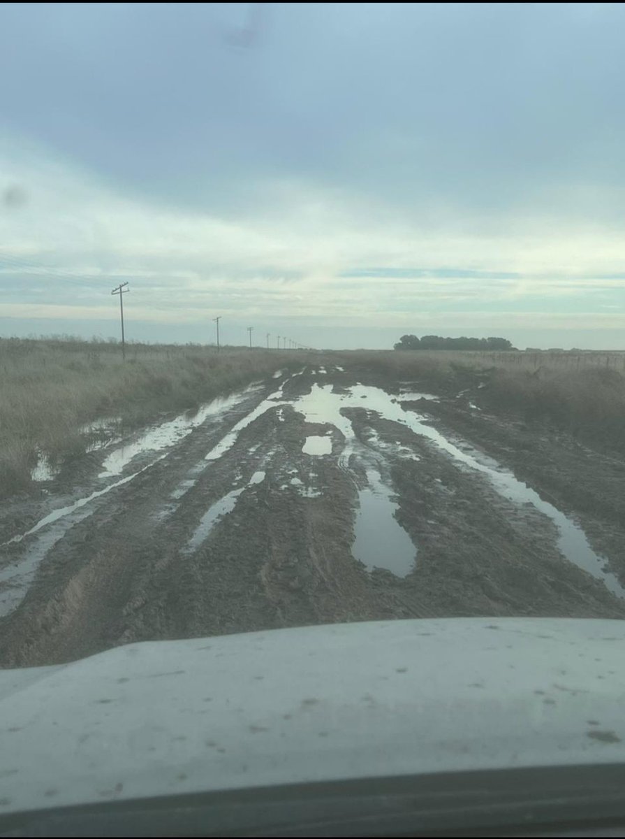 sebamatrella's tweet photo. Se hace difícil en Olavarría cuando nos encontramos con caminos en este estado siendo que el productor paga una tasa para que se hagan los trabajos.
Esto es lo prioritario en una emergencia
Vecinos de Muñoz y Rocha hace días que vienen reclamando. https://t.co/CoClBY2JQK