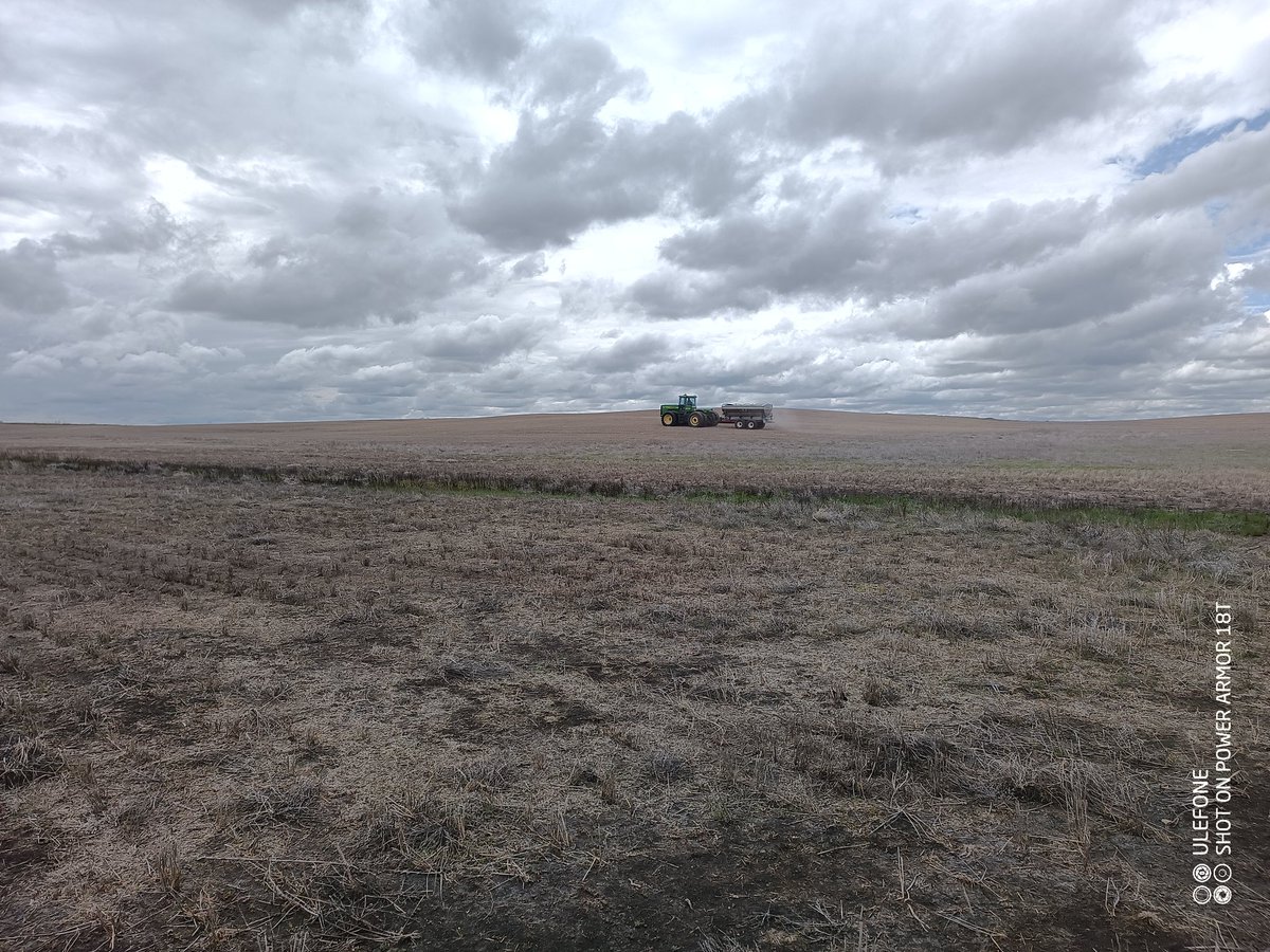Joe_Widdup's tweet image. Spreading some AMS. The VR map shuts off application on the side hill seep that grows nothing but Kochia. But what this field really needs is a whole lot more Ag drainage to fix the problem. #bestwhenmanaged @SaskFSA