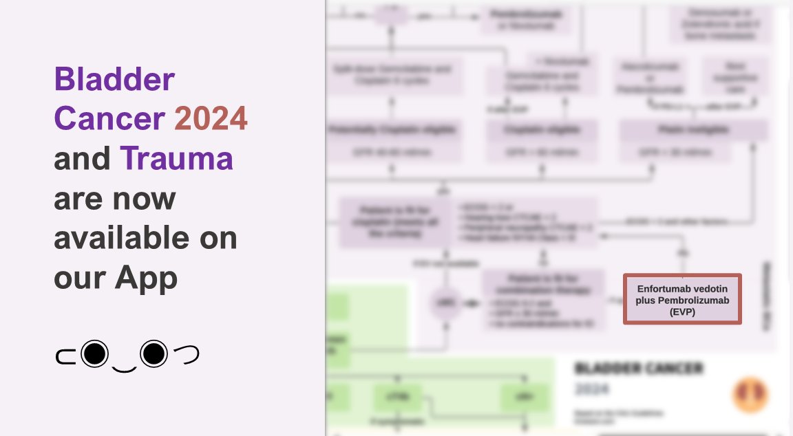 Dear #urologists! The chapters of Bladder Cancer and Trauma have been updated! 🎉 A big thank you to our reviewers: @elinares13 for Bladder Cancer and @mwaterloos1 for Trauma. 🙏🙏 Your input is precious! Enjoy the reading! 📱 knowuro.com/subscription/