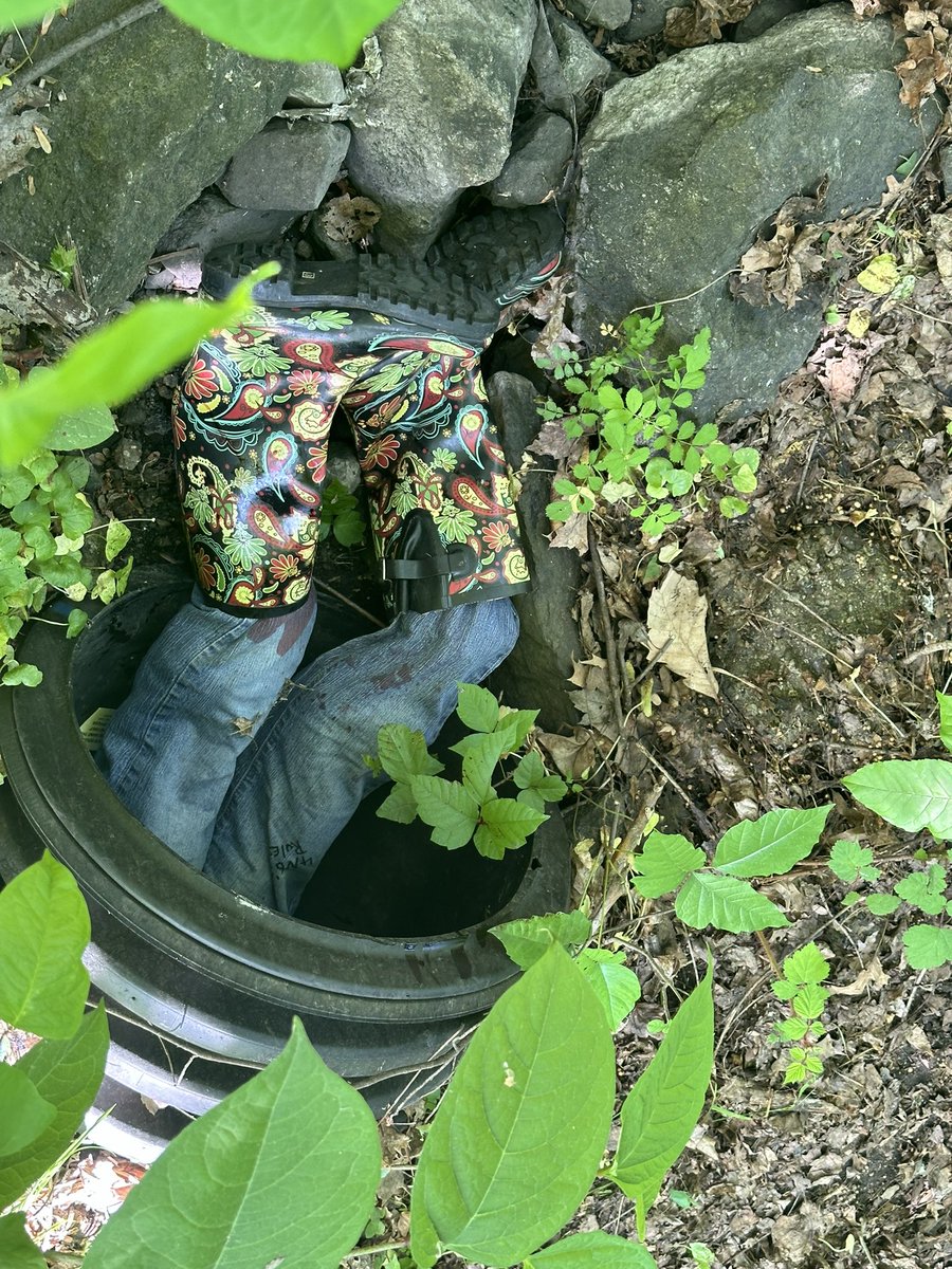 Jaime Ciffone tweet media