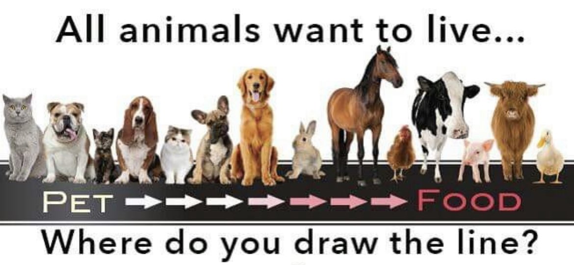 out of context vegan tweet media