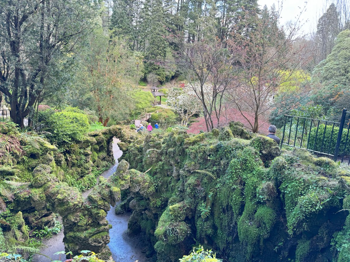 ConferenceEvent's tweet image. SCENTS of Ireland - Famous gardens of Powerscourt - worth wandering!