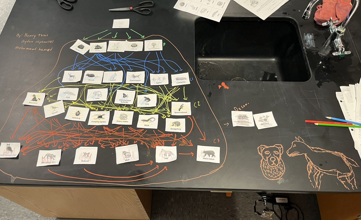 One of the best food webs I have seen! Nice work, gentlemen!
