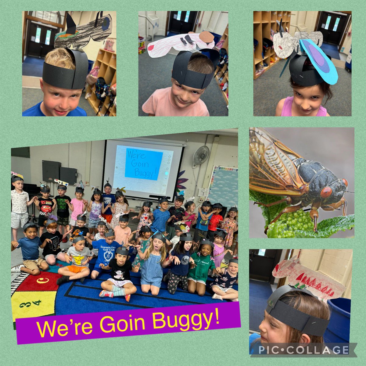 Carrie Murphy tweet media