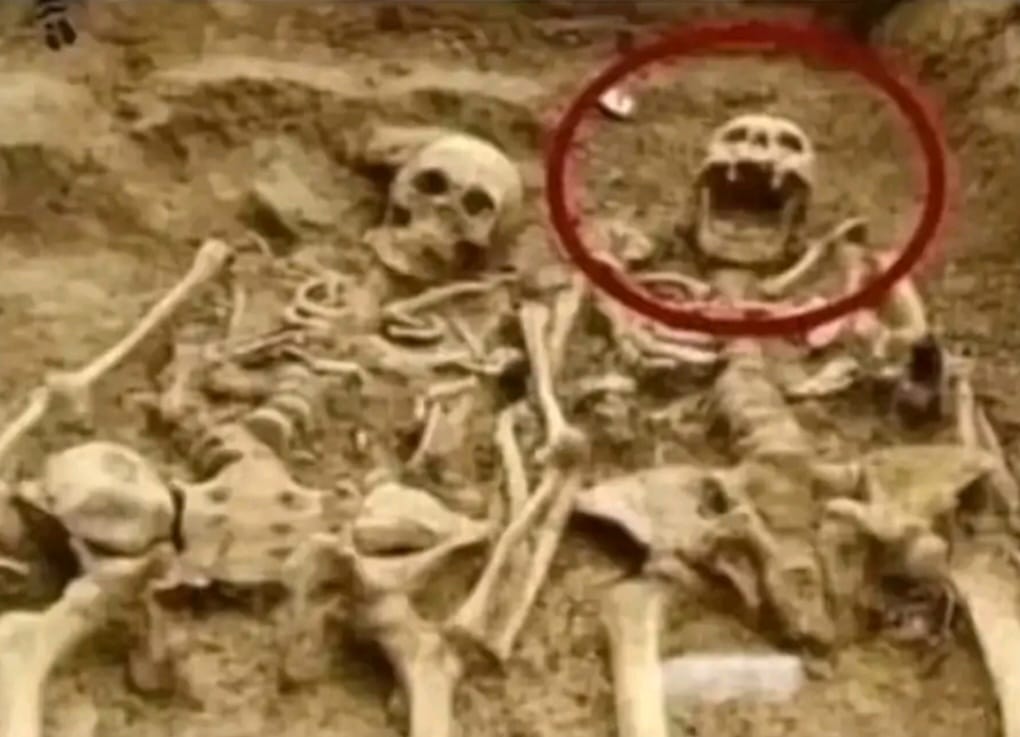 ¡Gran hallazgo! Encuentran los restos de una pareja de hace 900 años aproximadamente. La mujer aún sigue discutiendo. 😅