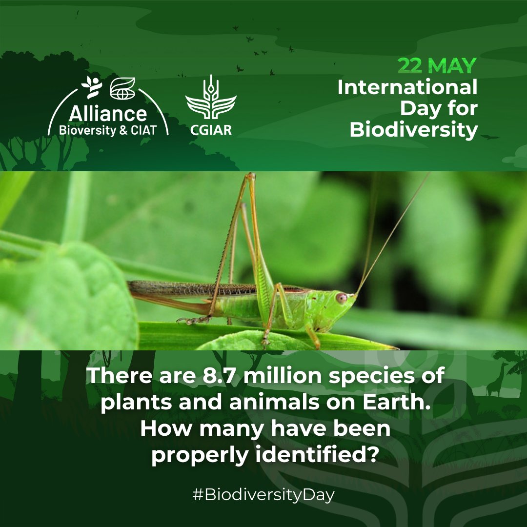 🐛1.2 million species have been described, most of which are insects. 🦋 Millions of organisms remain a mystery. 🙌 Let’s support research of Earth’s landscapes ⛰️ to understand and appreciate the abundance of global #biodiversity. 🌍 Tomorrow is #BiodiversityDay, stay tuned!