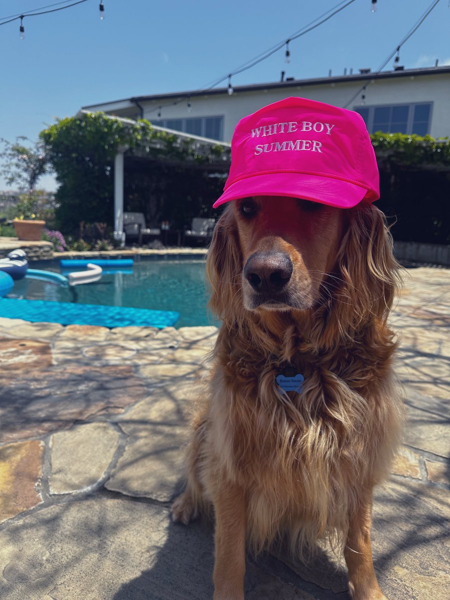 It’s officially $WBS for Bosco!