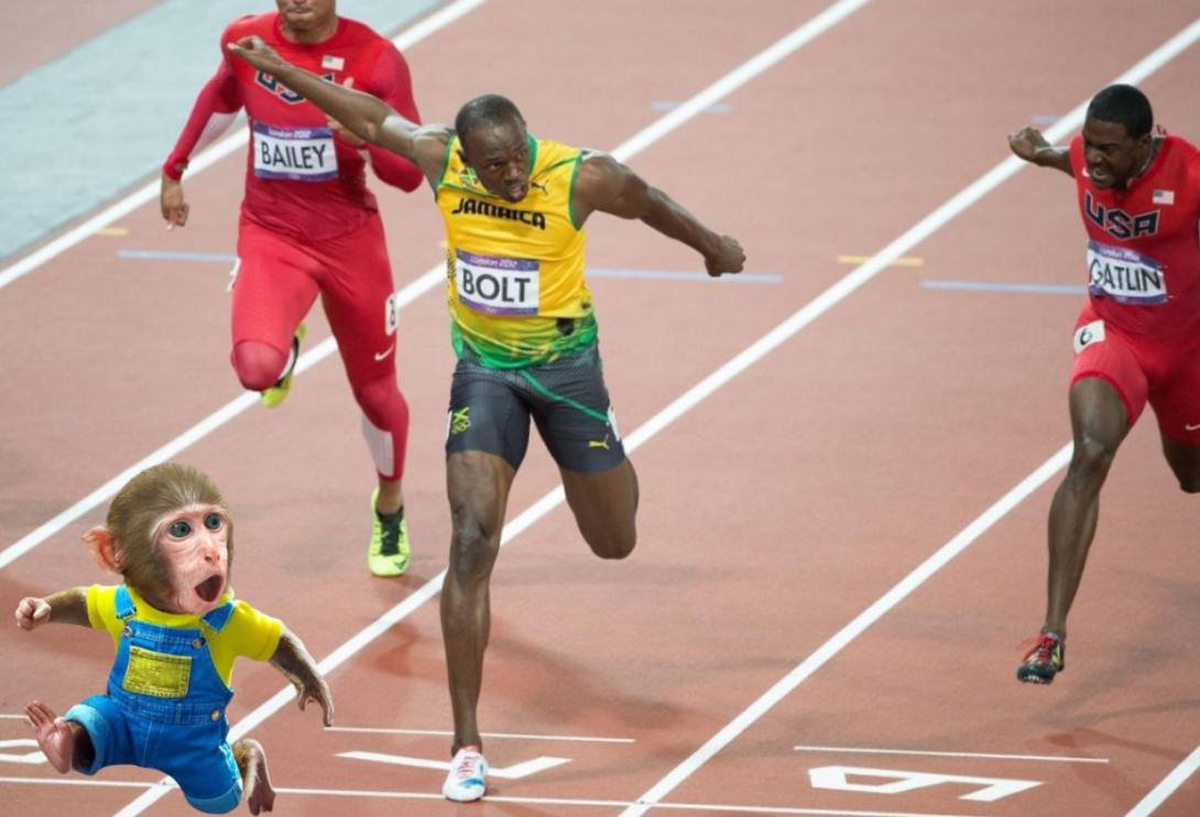 We running a marathon and we´re still running!

Backpack stays on, $HOORAY 🐒🎒