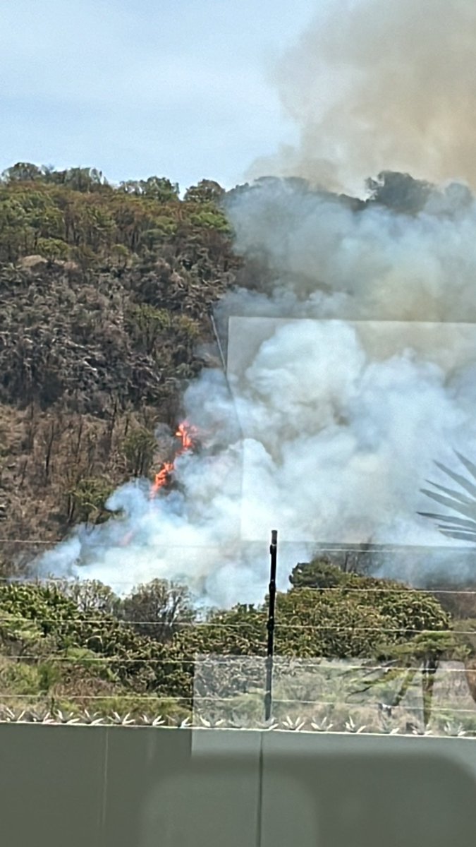 @PCYBOMGDL @Trafico_ZMG @JuanJoseFrangie @EnriqueAlfaroR @MilenioJalisco @JaliscoTV @Veletti incendio en la parte posterior del cerro del Colli esparciéndose rápido