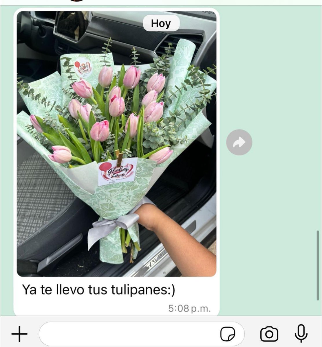 Yo solo dije que me gustaban los tulipanes 🌷 🥹