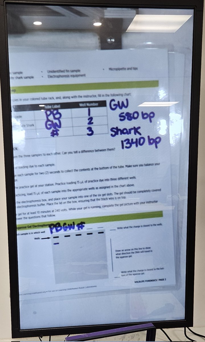 Amazing day in science class! MXbiolab came to Gaithersburg. Learning undefeated. #gburg4life #mxbiolab #sharkdna