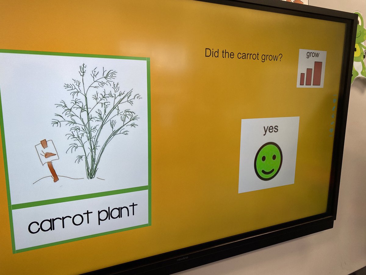 MrsThornsWorld's tweet image. Reading The Carrot Seed, practicing “yes” and “no,” and watching our own bean plants begin to grow! #MrsThornsRoseGarden #NBTeamPreschool #NBTECCisRedHot @NBTECC @mrpassner