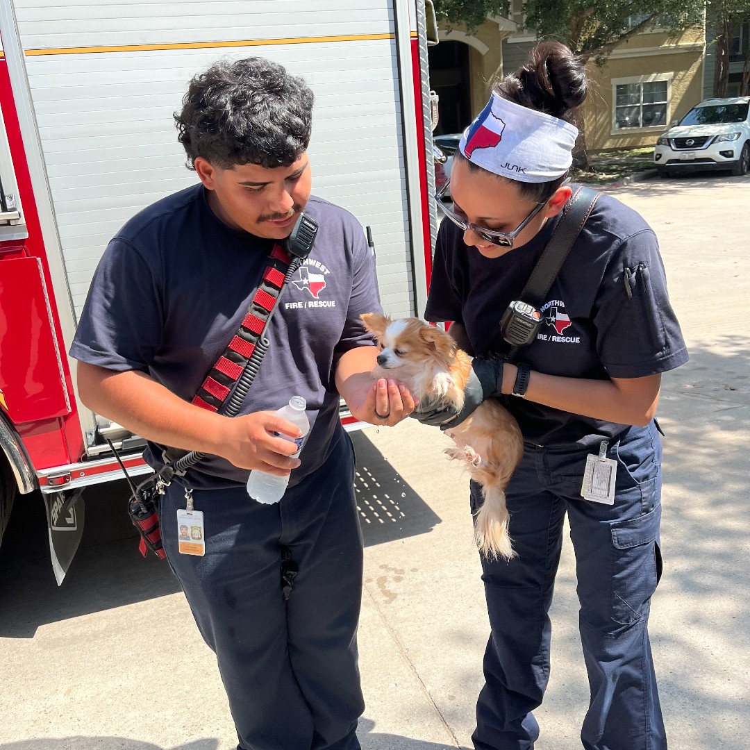 Northwest VFD tweet media