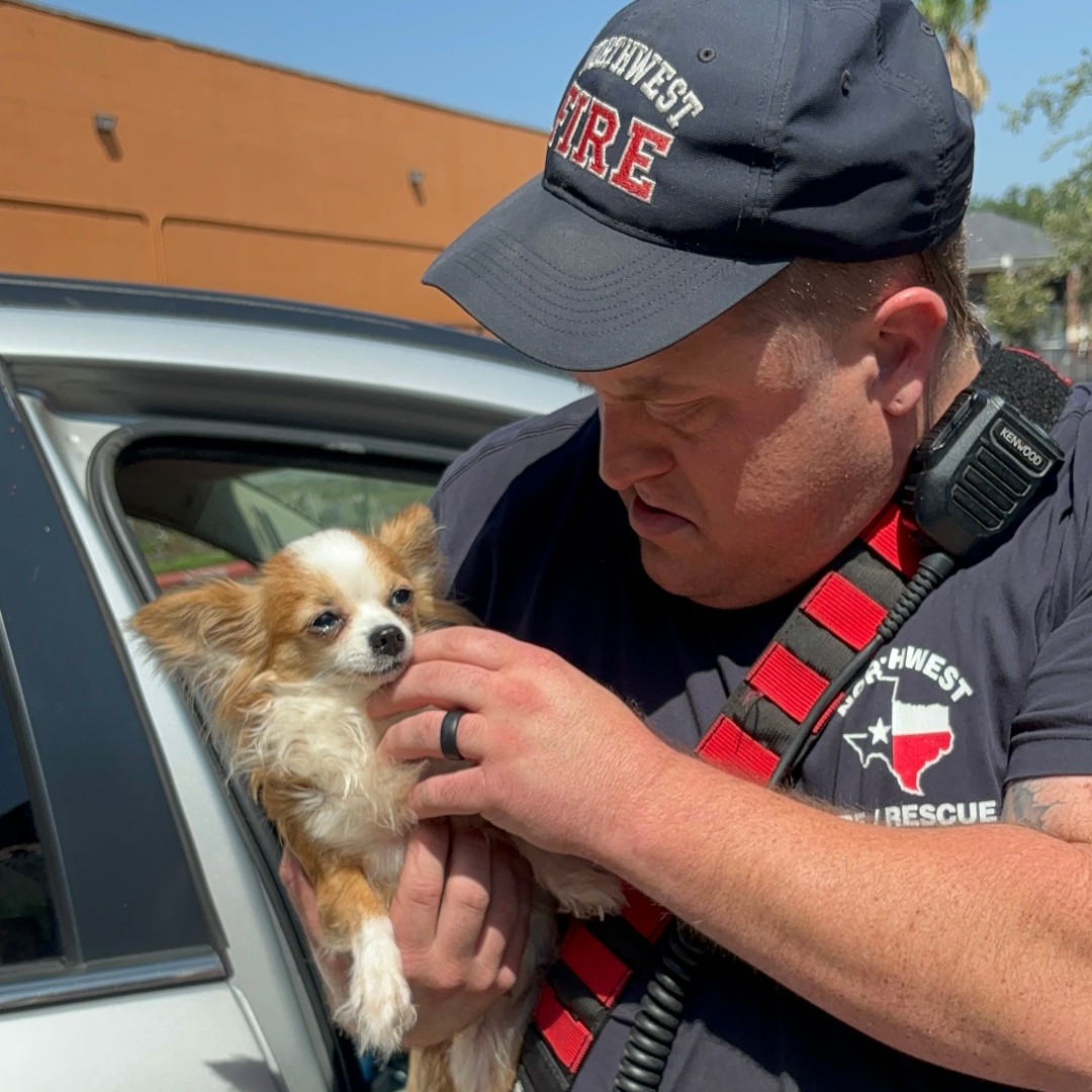 Northwest VFD tweet media