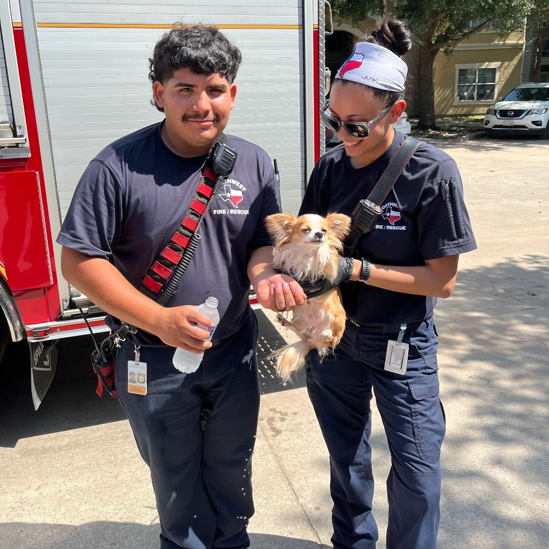 🚒🐶Heroes in Action! 🐾❤️ Our brave firefighters responded to an urgent call about a dog trapped in a hot, abandoned car. With temperatures soaring, every second counted. Thanks to their quick thinking and expert skills, the dog was rescued safely and is now in good hands.