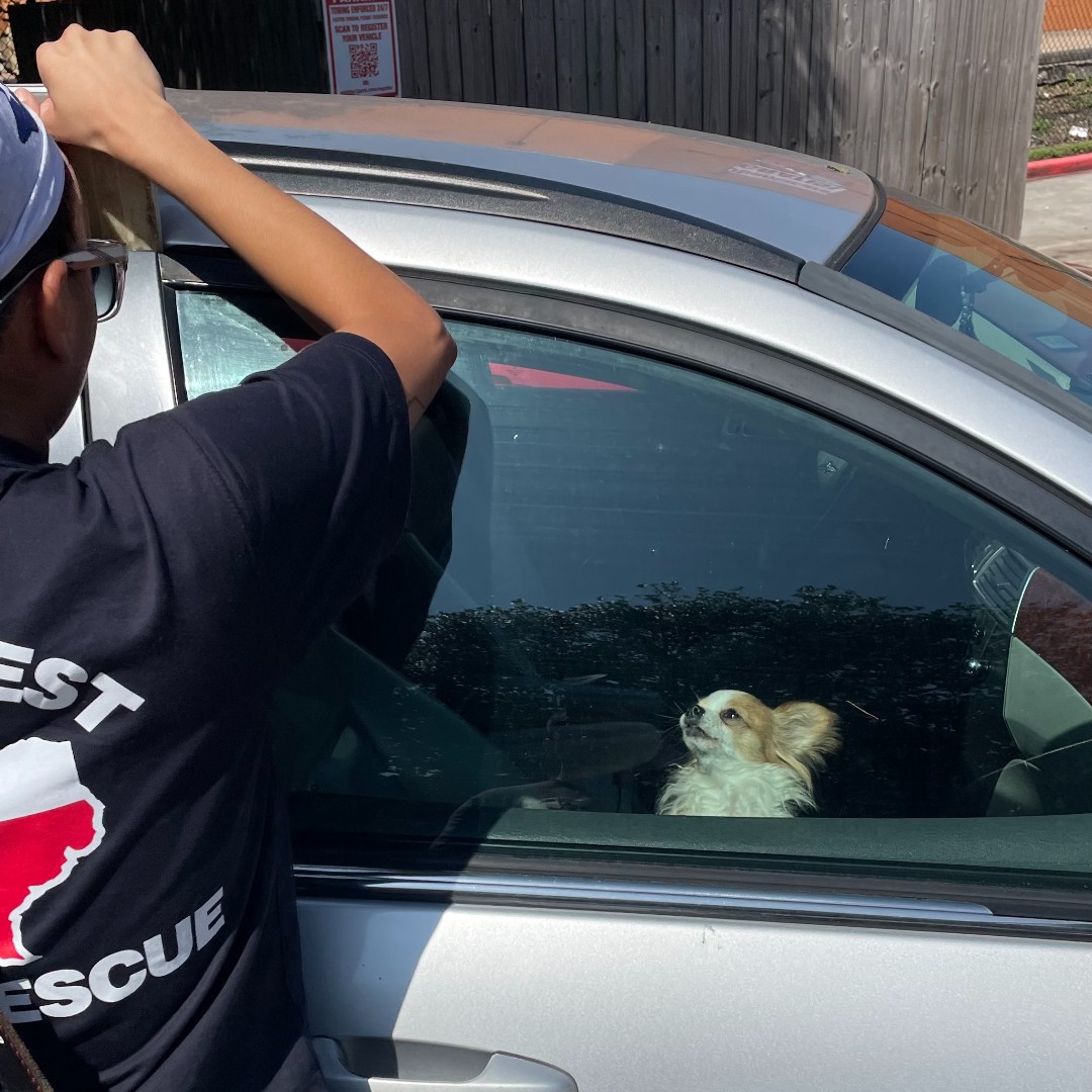 Northwest VFD tweet media