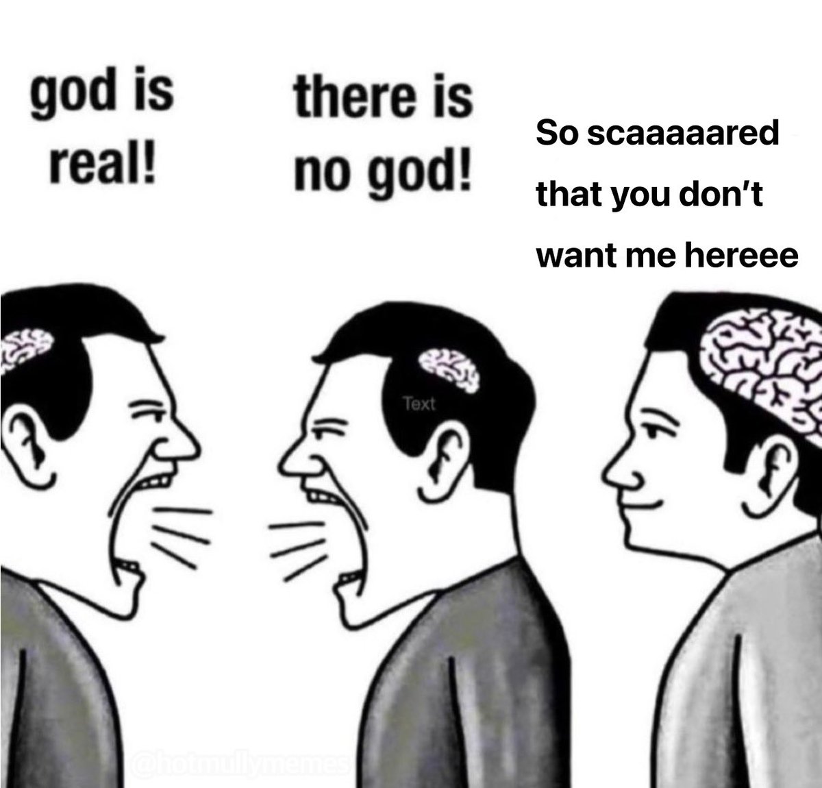 hotmullymemes's tweet image. 