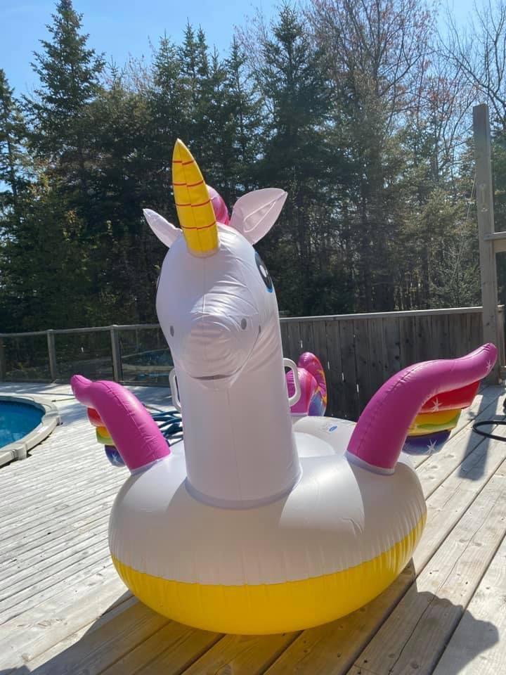 BexSaunders7's tweet photo. Guess who's back, back again
#mypetunicorn is back, tell a friend..
Weeeeeeee! 🦄 #poolisopen https://t.co/tEu8ec9BDI