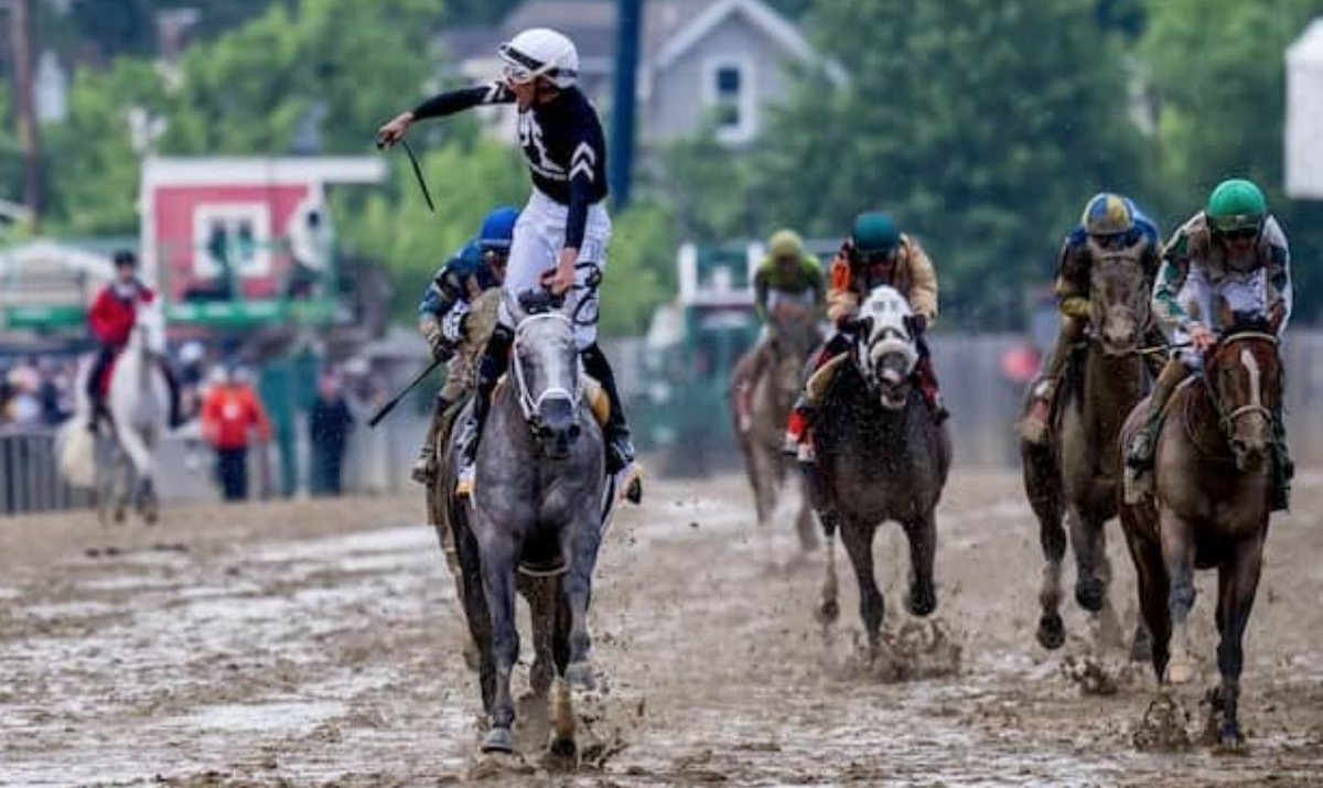 Seize the Grey jumps into top 10 of NTRA top 3-year-olds poll horseracingnation.com/news/Seize_the… 📸: Carlos Calo / Eclipse Sportswire