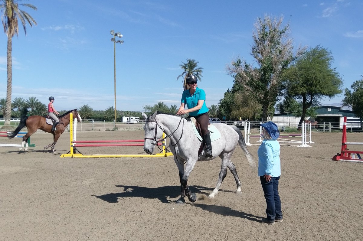 And for those who asked... Yes, K was a catch rider for Julia! Julia was one of M's mares. Brilliant jumper, but she and K did not understand each other well. Opposite personality and horsonality...