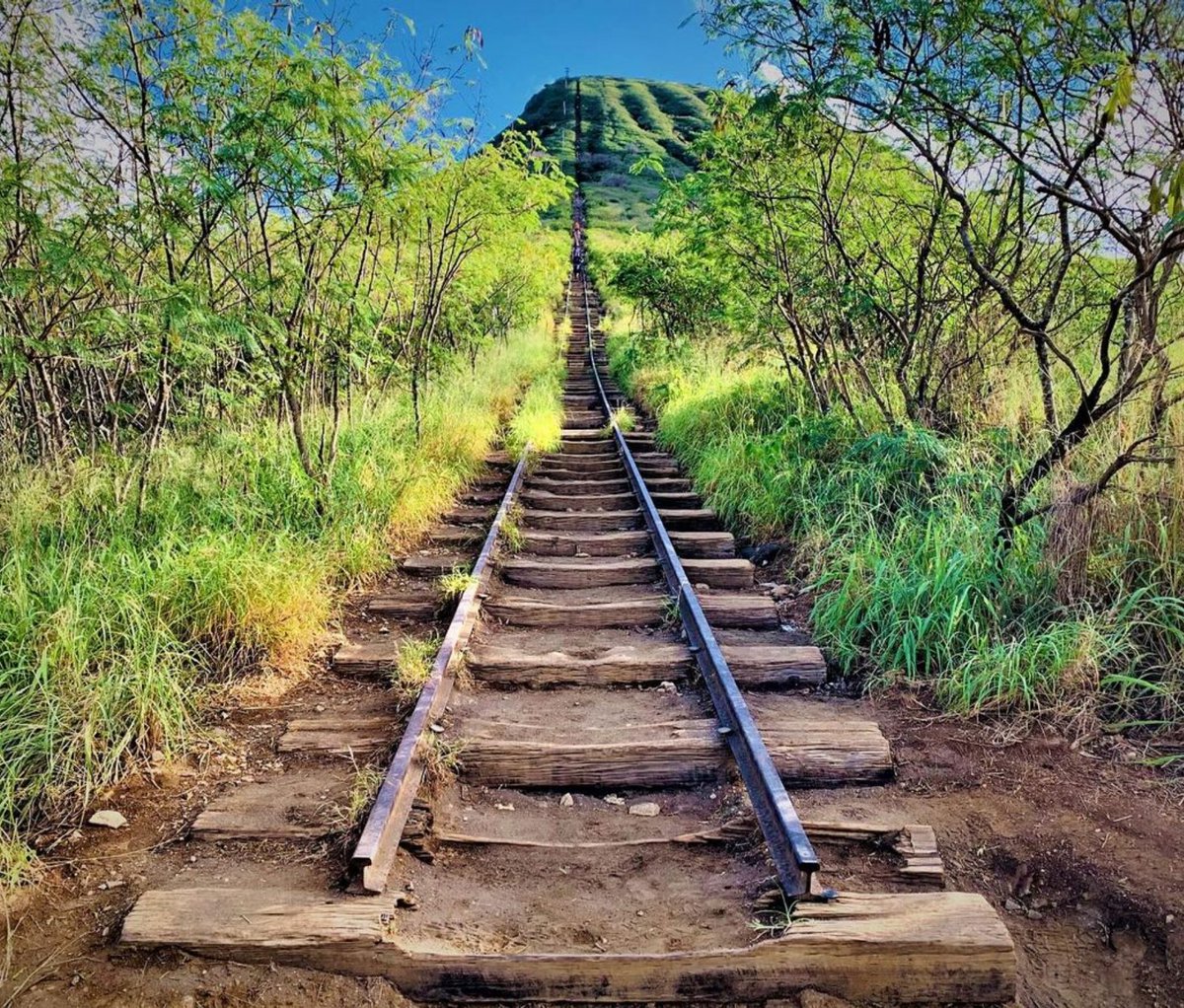 I Love Hawaii tweet media