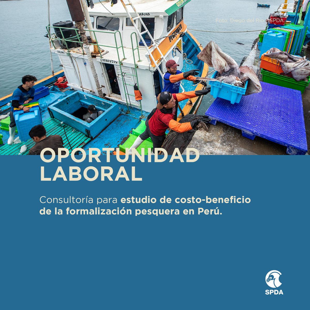 👩🏽‍💻👨🏽‍💻 #OportunidadLaboral | Buscamos especialista para el apoyo en la recolección, análisis, y reporte del primer estudio de costo-beneficio de la formalización del proyecto Por la Pesca en Perú.
➡ Postula hasta el 31/05/2024
➡ TDR: bit.ly/4dTlWHp