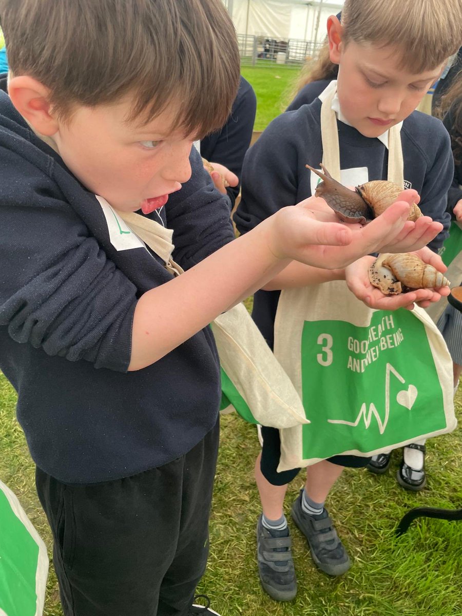 How lucky are we to live in the Scottish Borders! P5 thoroughly enjoyed Countryside day. What a privilege to experience such a fantastic event. 🚜🌿🪴🐑🐖🐂🐌😍 #countrysideday #globalgoals #inspiring <a href="/SBCEducation1/">SBC Education</a>