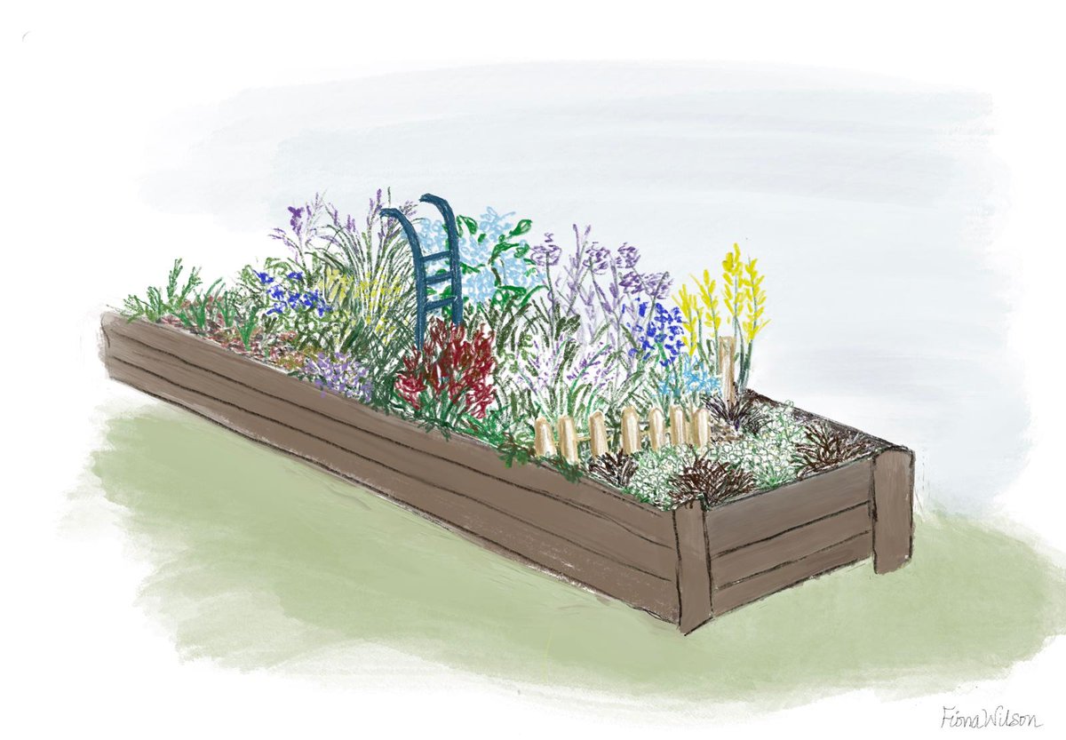 An artists impression of our Long Border garden for the @The_RHS @tatton_park show in July! Fiona Wilson,a friend of a couple of our #rhs volunteers, drew this wonderful sketch after hearing about the project. We love it!🙏 #midcheshirerailwayline @northernassist @BeeNetwork