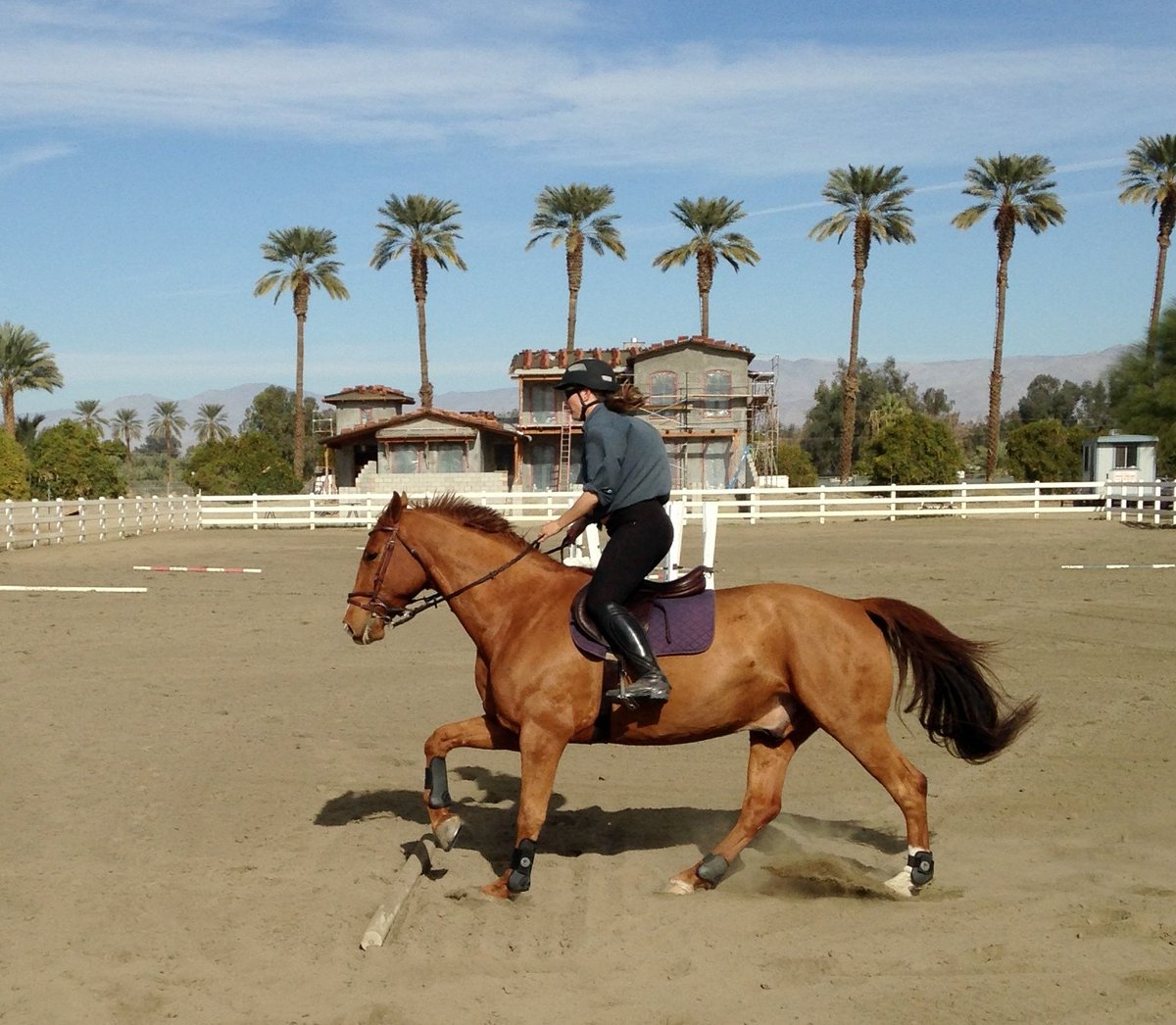 Phoenix and K enjoyed each other. K was his exercise rider for several years.