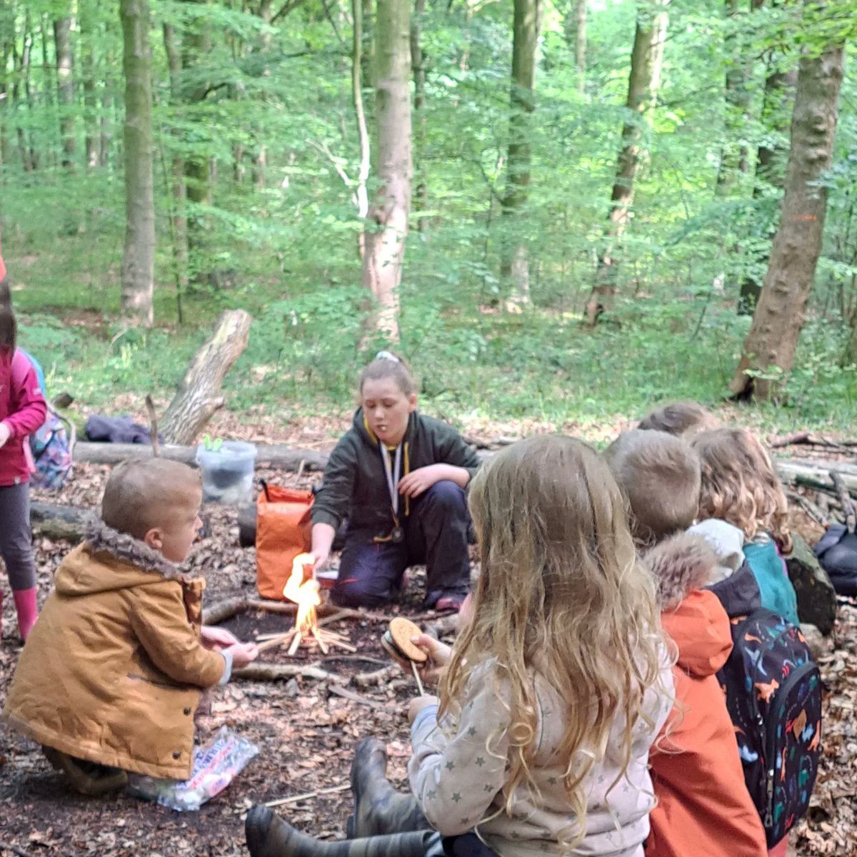 NatureExplDerby's tweet image. 1:1 provision looked at lichens and difference with air pollution. 
Clowne Juniors pupils showed team work in a archeological dig.
Home-ed we went to see the tadpoles at the pond.
Woodthorpe School made nature paintbrushes.
Bolsover CofE had a go at fire lighting, sawing wood.