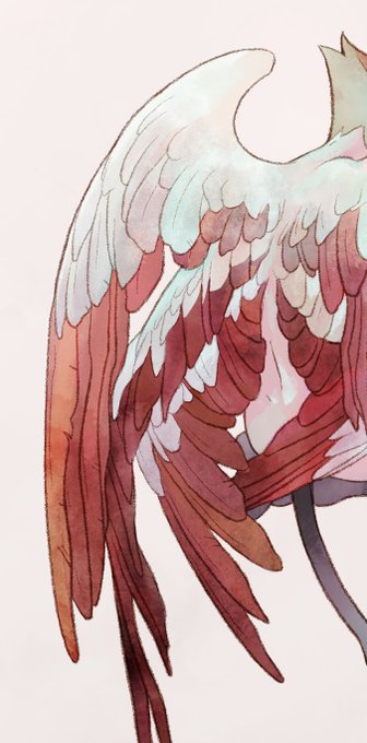 「feathered wings」 illustration images(Latest｜RT&Fav:50)