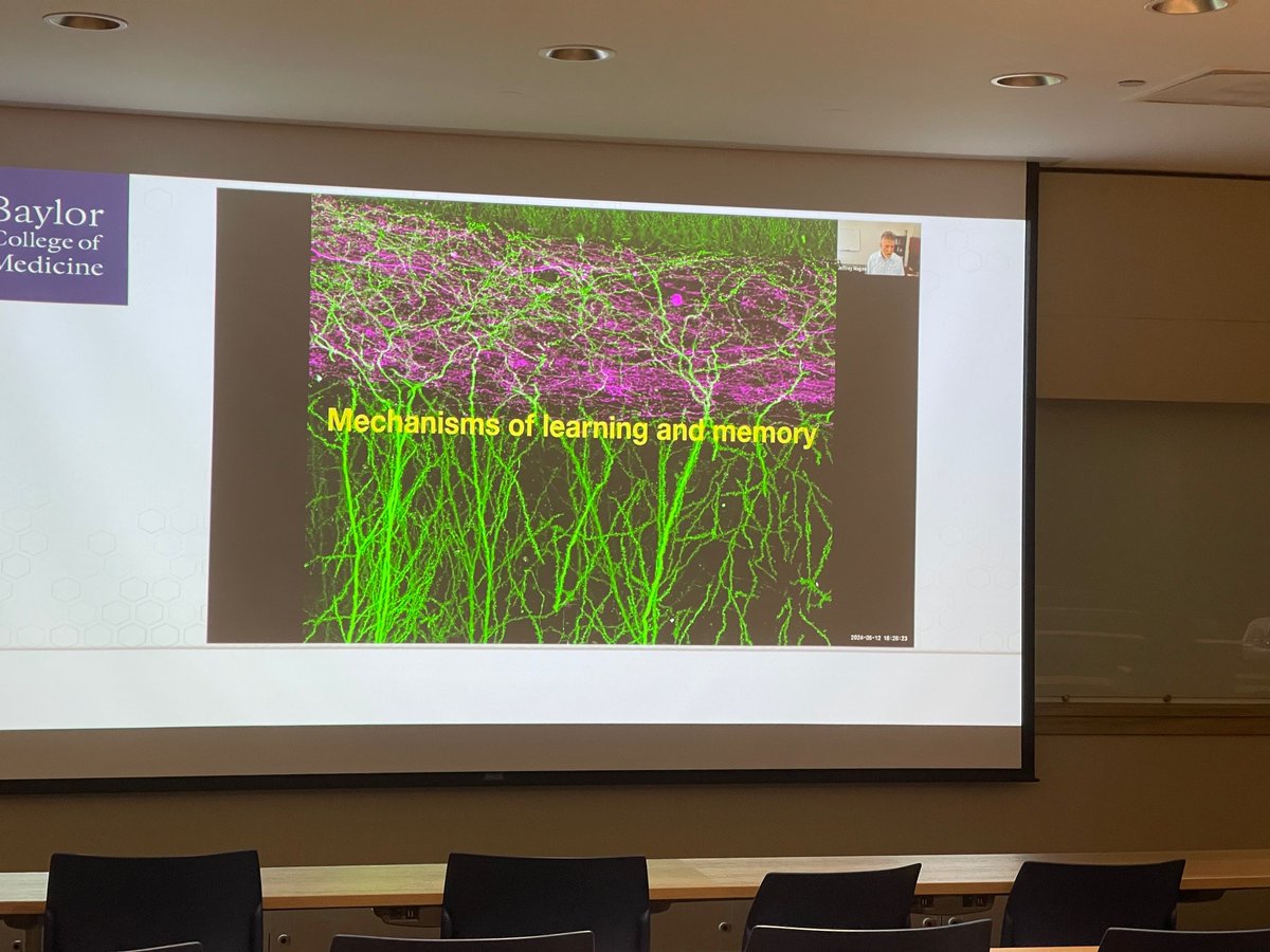 Dr. Jeffrey Magee's presentation is on his work on mechanisms of #learning and #memory. @bcmhouston @bcm_neurosci @TCHResearchNews #DeBakeyResearchAwards