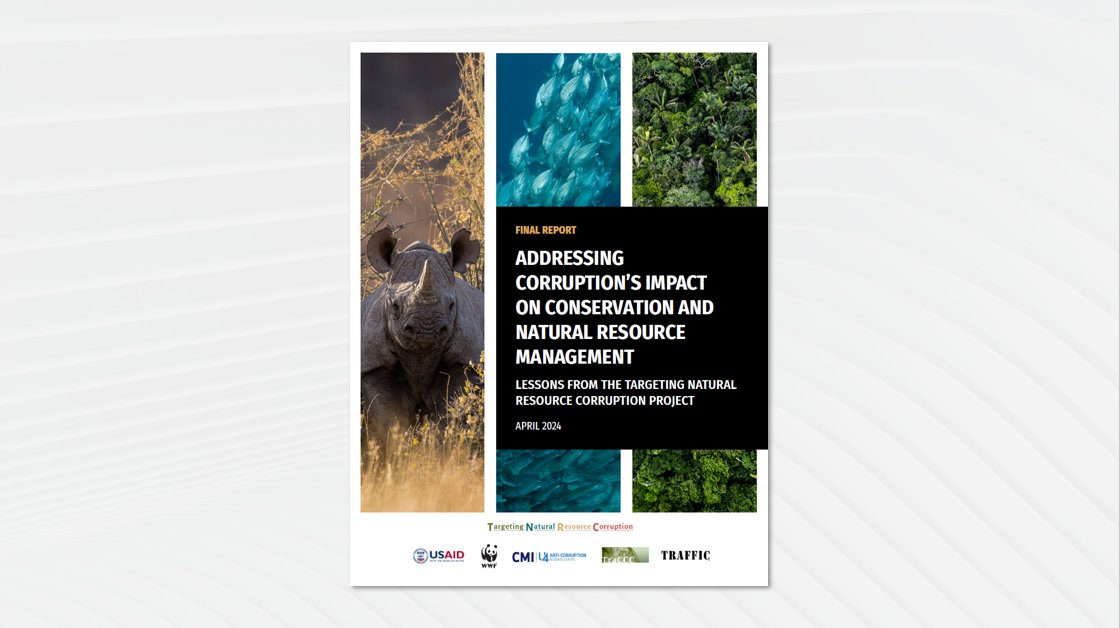 Targeting Natural Resource Corruption (@tnrcproject) on Twitter photo From 2018 - 2024, the <a href="/TNRCproject/">Targeting Natural Resource Corruption</a> delivered knowledge and tools to address #corruption in #conservation. This final report summarizes core lessons, strategies, activities, and outputs from the project and the paths forward to continue this important work: worldwildlife.org/pages/tnrc-fin… From 2018 - 2024, the <a href="/TNRCproject/">Targeting Natural Resource Corruption</a> delivered knowledge and tools to address #corruption in #conservation. This final report summarizes core lessons, strategies, activities, and outputs from the project and the paths forward to continue this important work: worldwildlife.org/pages/tnrc-fin…