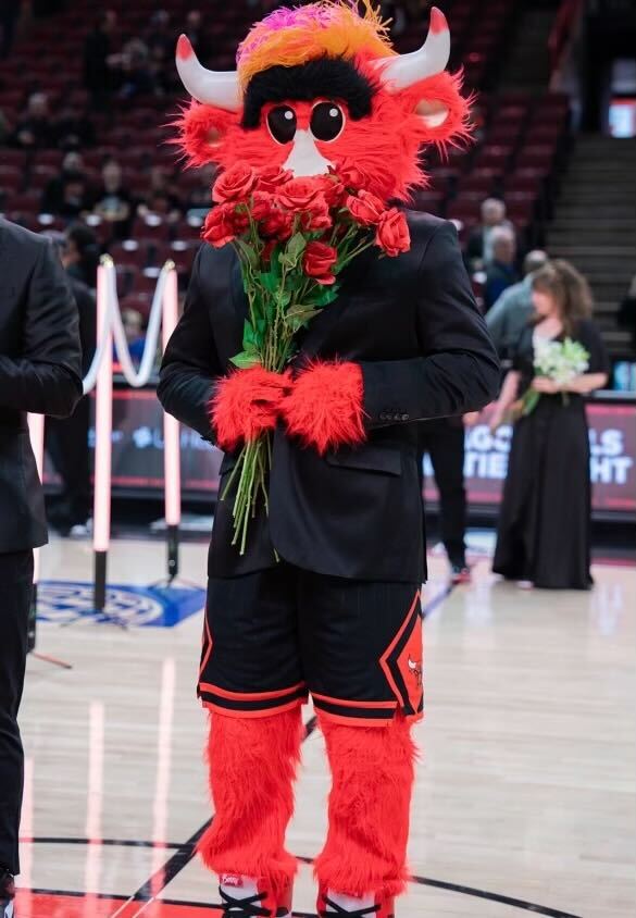 BennyBullSol's tweet photo. @W0LF0FCRYPT0 Check out $Benny, When Benny bulls, we all win! https://t.co/9qz0kykc7p