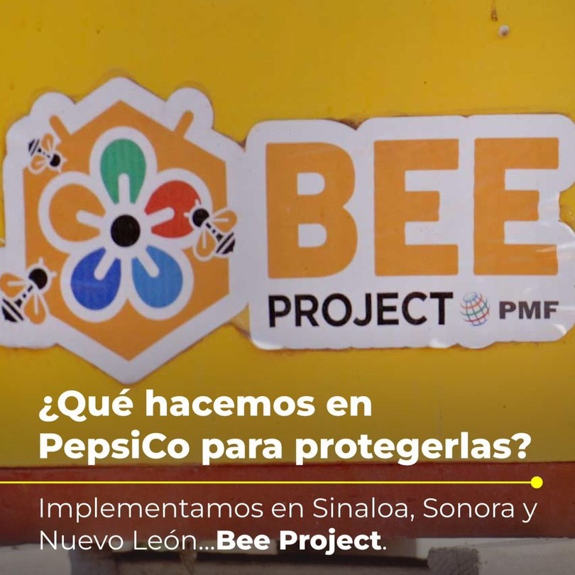 PepsiCoMex's tweet photo. 🐝🌼 Bee Project al rescate en el Día Mundial de las Abejas. 🌼🐝 Conservamos la biodiversidad y apoyamos la agricultura sostenible. 🌎💚 #Sustentabilidad #BeeProject https://t.co/Eh06Ds78Pc