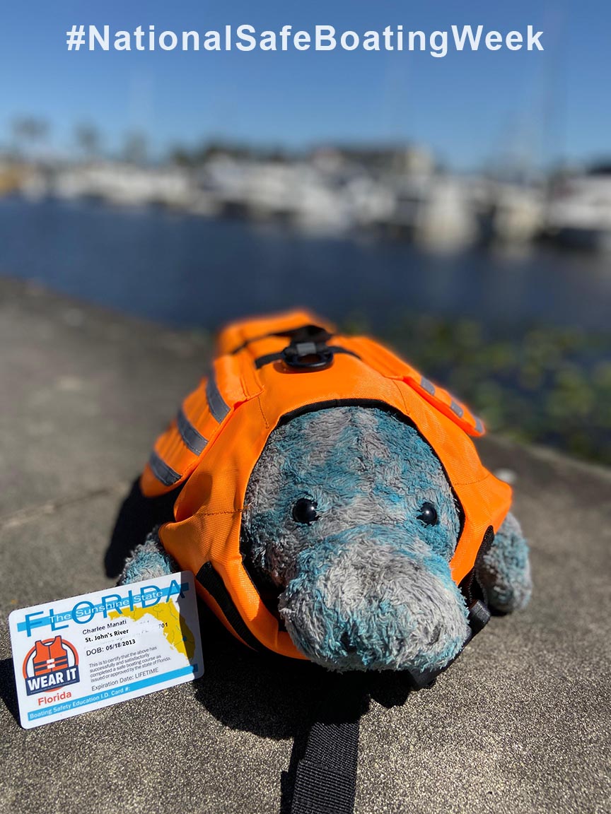 It's #NationalSafeBoatingWeek and now is a perfect time to take a safe boating class to prepare yourself for being out on the water and protect #manatees! myfwc.com/boating/safety…