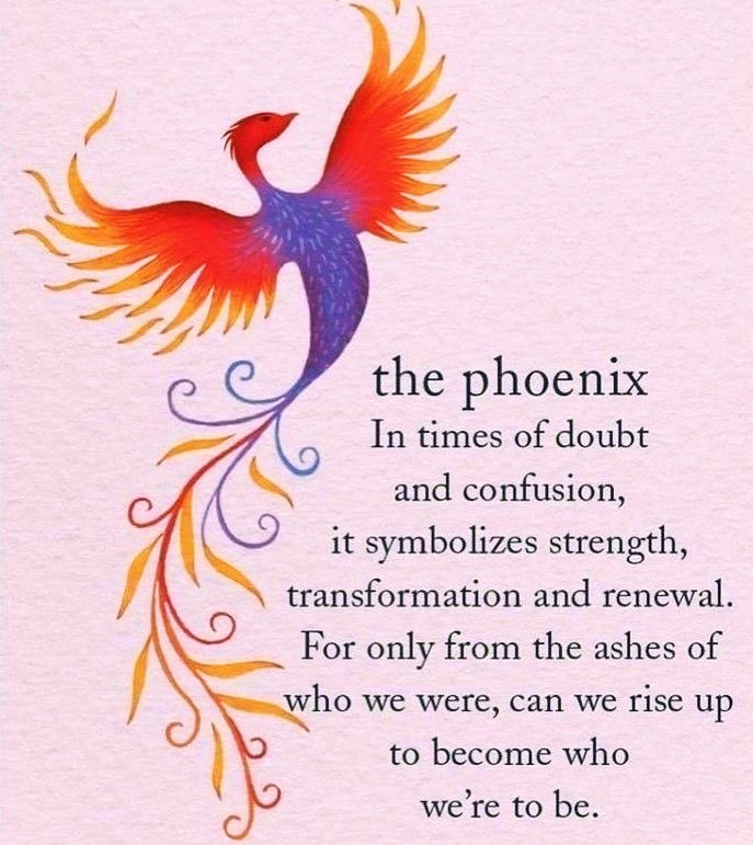 So true #RiseFromTheAshes #Phoenix #Lessons #Reasons #NeverGiveUp #HaveFaith xxx