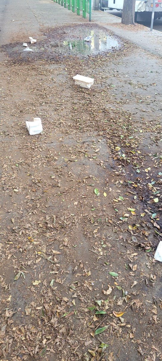 MaryaluysaPlay's tweet photo. @AzcapotzalcoMx @TodosSomosAzcap @MargaretSaldana @SSC_CDMX 

No es posible que este en estas condiciones la entrada de la escuela Primaria Autria (av cetlan) ... nunca la barren, el escombro tiene más de 6 meses ahí  !ayuda! https://t.co/ICUxZZNIjj