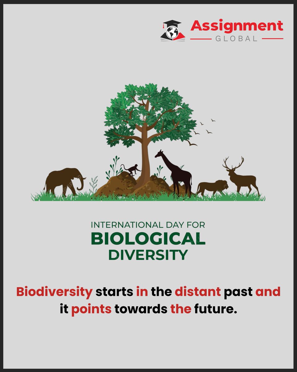 AssignGlobal's tweet image. International Biological Diversity Day

#biological #daquan #9gag #8fact #lloyd #straya #jackwhite #alevel #student