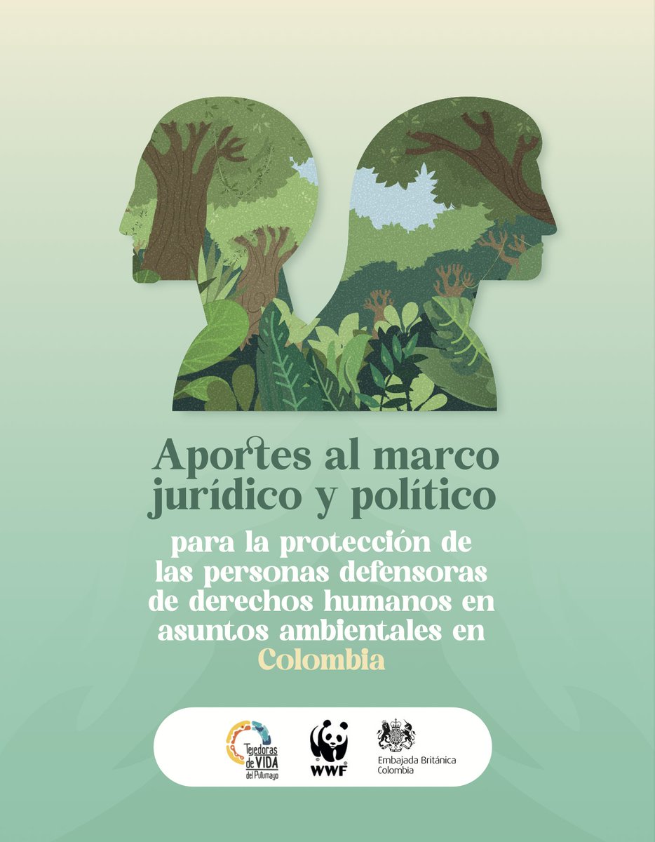 ¿Cómo debe ser la política de protección de las personas defensoras de DDHH en asuntos ambientales? 🧐

Les comparto esta publicación que hicimos con <a href="/Andres_Veran0/">Andrés</a> en la que buscamos responder esta y otras preguntas 🤓🧵

Link: drive.google.com/file/d/1V8Sin-…