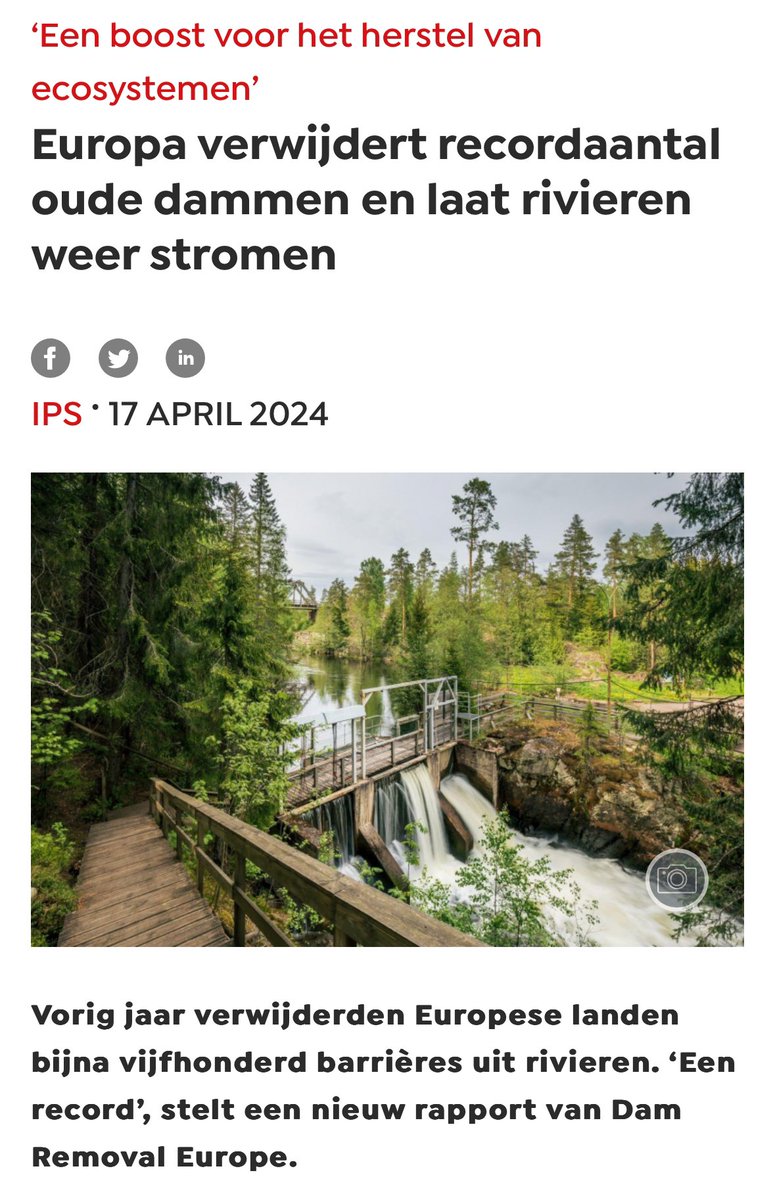 “Een boost voor het herstel van ecosystemen” 🤔

Laat rivieren stromen. 
Verwijder oude dammen. 

En toen kwam #HAARP en liet al die rivieren zonder dammen overstromen. 

mo.be/nieuws/europa-…

#Noodweer
#Wateroverlast
#Hongersnood